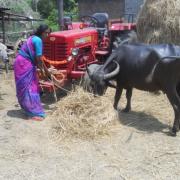 Katikaveni Annapurna, Kandugula, Karimnagar