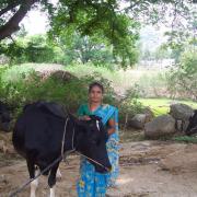 Netravati, Andrahalli village, Karnataka