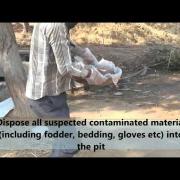 Disposal & Disinfection of Aborted/Placental Material