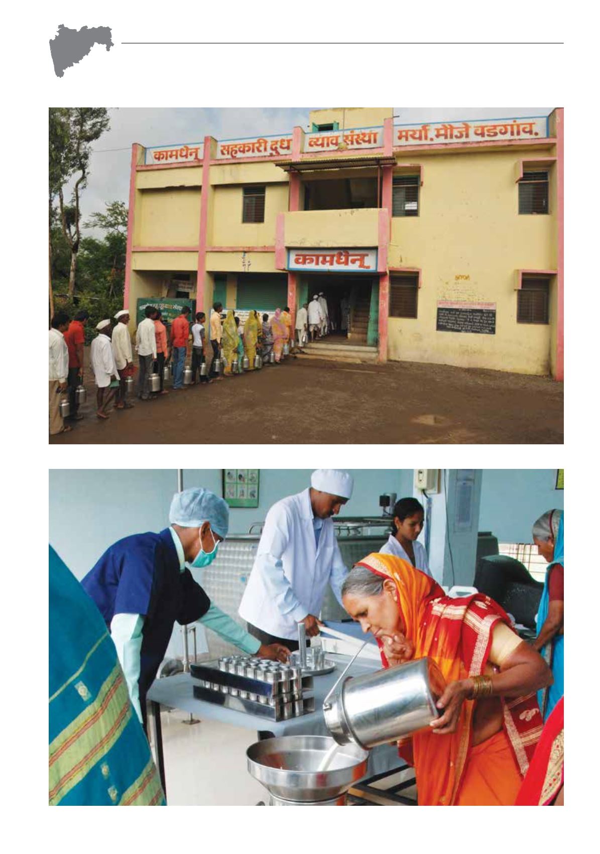 NDDB Maharashtra dairy Diggest