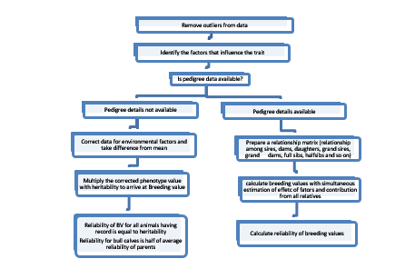 Process of estimating breeding values