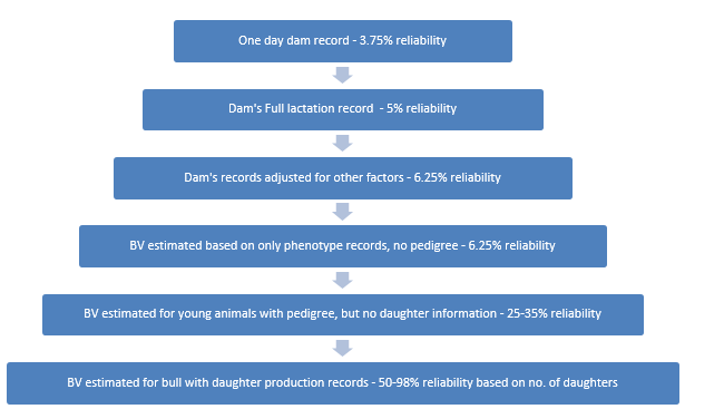 Reliability and load of information used in breeding value estimation