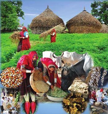 Green Fodder through a Sustainable Approach for Fodder Seed Production | Dairy Knowledge Portal Green Fodder through a Sustainable Approach for Fodder Seed Production | Dairy Knowledge Portal
